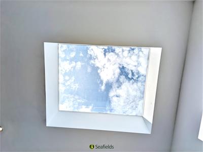 Picture 15